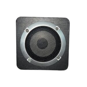 ss bright speaker with Bluetooth, AUX,USB